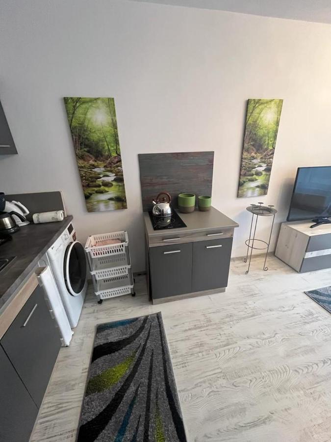Apartament Acasa Sf.Gheorghe Sfântu-Gheorghe Exterior foto